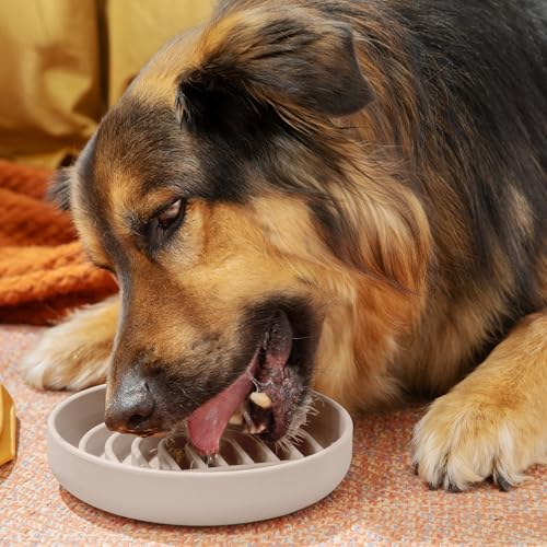 Should We Go? Slow Feeder for Dogs & Cats, The Slowdown Bowl Silicone Slow Eating, Modern Lick Mat Design, Reduces Gulping, Fits 2 Cups, 7.5” Across x 1.5” Tall, Mealtime Challenge, Medium-Sand - color: Sand - Rainbow Design, size: Medium (7.5” Across x 1