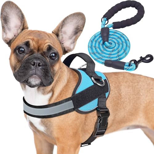 Haapaw Essential Dog Harness, No Pull Pet Vest with 3 Leash Clips, No Choke, Reflective, Adjustable and Padded, for Easy Walking and Training for Medium Dogs(M, Blue) - color: Blue, size: M
