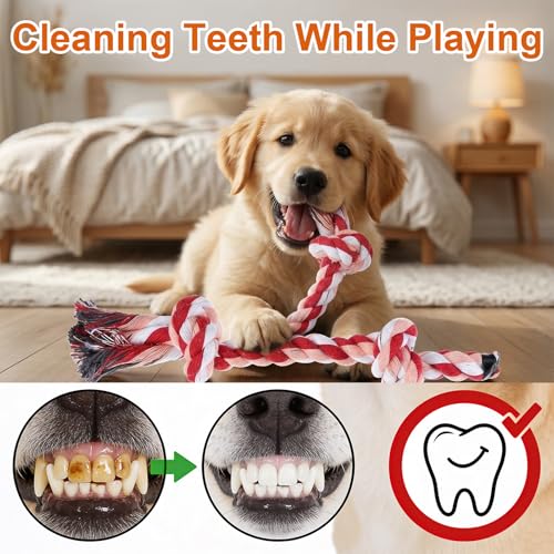 Lemecima Dog Rope Toys for Aggressive Chewers, 9-Pack Heavy Duty Indestructible Cotton Dental Cleaning Chew Toys, Tug of War Interactive Play for Large Medium Breeds