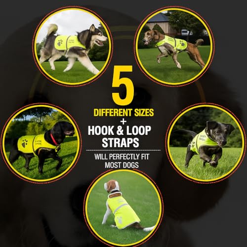 Safety Reflective Vest for Dogs - High Visibility for Outdoor Activity Day and Night, Protect Your Pet from Cars & Hunting Accidents - size: L