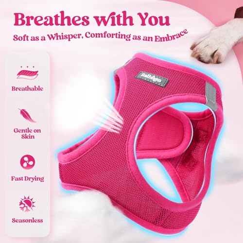 rabbitgoo Dog Harness Small Sized and Leash Set, Step in Soft Light Puppy Vest, Breathable Mesh Pet Harness, Reflective for Safe Easy Walking, Rose Red XXS - color: Rose Red, size: Xxs (chest: 12.4 - 14.2")