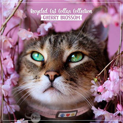 Pawtitas Recycled Pink Reflective Cat Collar – Eco-Friendly Breakaway Safety Buckle, Adjustable Kitten & Adult Collar with Removable Bell and High-Visibility Strap - color: Recycled Pink