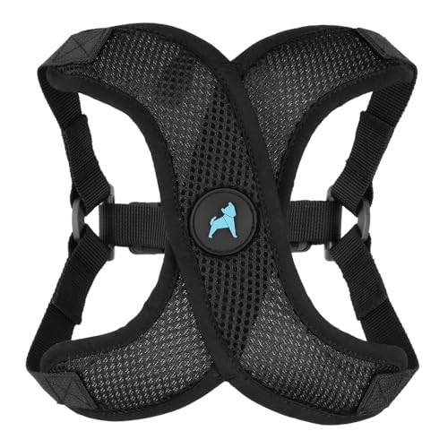 Gooby Comfort X Step in Lite Dog Harness - Choke Free, Escape Free with Light Breathable Mesh - Step in Dog Harness for Small Dogs Only - Quick Release Buckle, Metal D-Rings - Black, X-Small - color: Black, size: X-Small (11.8-14")