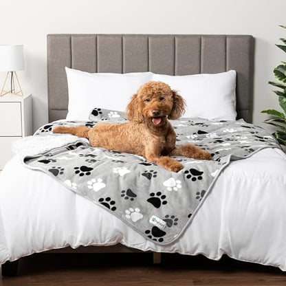 PETAMI Sherpa Fleece Waterproof CAT and Dog Blanket, PAW Gray, Queen - color: Paw Gray, size: Queen (90x90)