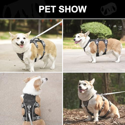Escape Proof Dog Harness with Handle - Reflective No Pull Dog Vest, Lightweight Full Body Pet Harness Adjustable for Small Dogs Walking,Training(Black,Chest:14-22") - color: Black, size: XS: Chest 14-22", Fit 8-12 lbs