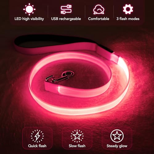 LED Dog Leash with Light - 4 Feet, Rechargeable, Nylon Webbing, Glow Safety Standard Dog Leash (Pink) - color: Pink, size: 4 Feet