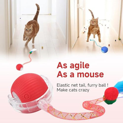 2 Packs Speed 2.0 Tail Interactive Cat Toys for Indoor Cats, Chirping & Motion Activate Ca t Toy, Smart Kitten Rolling Ball Moving Ball Toys, Rechargeable Dog Cat Bal l for Enrichment Exercise - color: Yellow+Grey