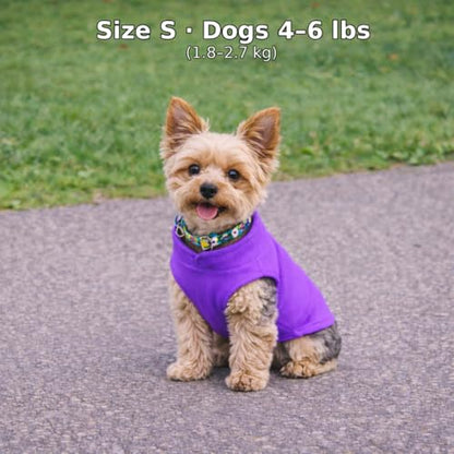 JACKO & CO - Fleece Vest Dog Sweater with Leash Ring - Soft, Warm & Lightweight Pullover Coat for Small & Medium Dogs, Puppies & Cats - Cozy Fall/Winter/Spring Pet Jacket (Purple, Small 4-6lbs) - color: Purple, size: S (4-6lbs)