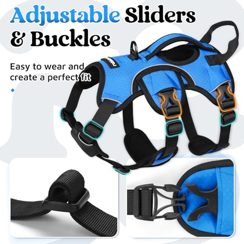 rabbitgoo Escape Proof Dog Harness, Soft Padded Full Body Pet Harness, Reflective Adjustable No Pull Vest with Lift Handle and Leash Clip for Large Dogs Walking Hiking Training, S, Blue - color: Blue, size: Small (Pack of 1)
