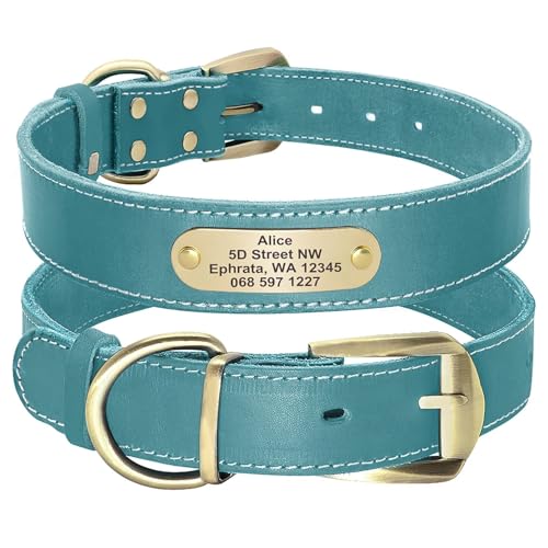 Didog Genuine Leather Dog Collars with Engraved Nameplate, Personalized Soft Leather Dog Collar with Custom ID Tag, Brown/Green/Red for Medium Large Dogs (XL,Blue) - color: Blue, size: XL: Fit Neck 18-23"(44-72 lbs)