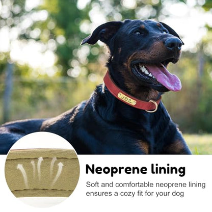 Custom Leather Dog Collar with Name Plate - Personalized Collar for Dogs with Laser-Engraved Nameplate - PU Faux Leather with Neoprene Lining (Green, XL (18-22 Inches)) - color: Green, size: XL (18-22 Inches)