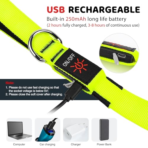 LED Dog Leash 6 Feet Micro USB Rechargeable Nylon Webbing Glow Safety Standard Dog Leash (Green) - color: Green, size: 6 Feet