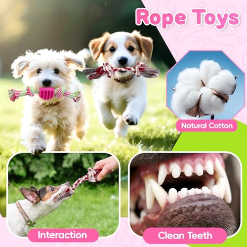 8 Pack Luxury Puppy Toys for Teething Small Dogs, Puppy Chew Toys with Squeaky Dog Toys, Balls and Rope Dog Chew Toys, Dog Toys to Keep Them Busy (Pink, 8-Pack) - color: Pink, 8-pack