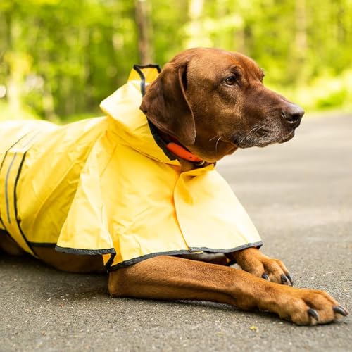SPOT Rainy Days Slicker - Yellow Dog Rain Jacket With Hood, Reflective Strip for Safety, Leash Hole & Adjustable Velcro Belly Strap, 100% Polyester Water Resistant Pet Raincoat - X-Large, 21in Long - size: X-large