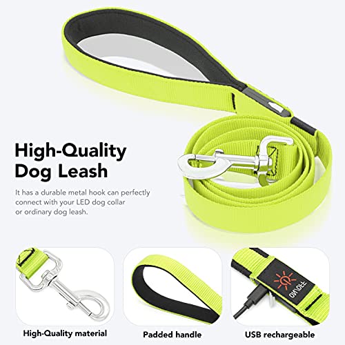 Colaseeme Light Up Dog Leash, LED Pet Leashes USB Rechargeable, Glow Safety Dogs Lights at Night (4FT,Green) - color: Green, size: 4FT