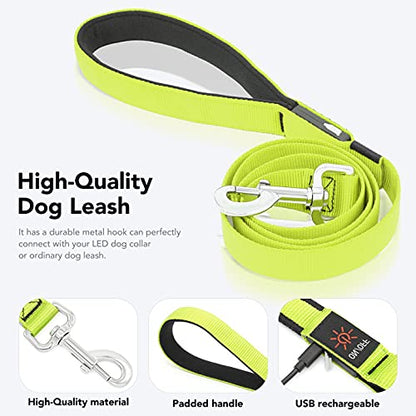Colaseeme Light Up Dog Leash, LED Pet Leashes USB Rechargeable, Glow Safety Dogs Lights at Night (4FT,Green) - color: Green, size: 4FT