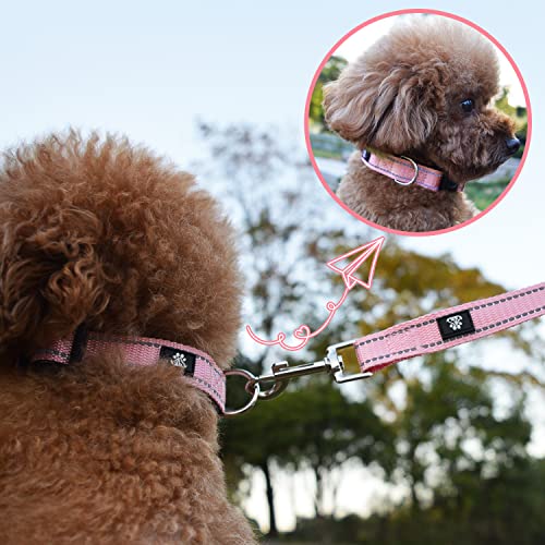 Dog Collar and Leash Set,Reflective Dog Collars with Quick Release Buckle,Adjustable Nylon Pet Collar for Small Medium Large Dogs(Small,Pink) - color: Pink, size: Small