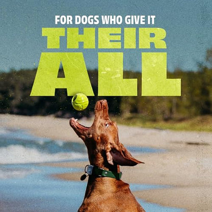 Benebone Rubber Ball, 4-Pack - size: 4 Pack, style: Ball