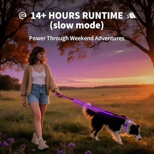 Night Walking LED Dog Leash - 6FT Reflective & Waterproof Light Up Safety Leashes for Dogs - USB Rechargeable, Purple - color: Purple(Fiber optic version)