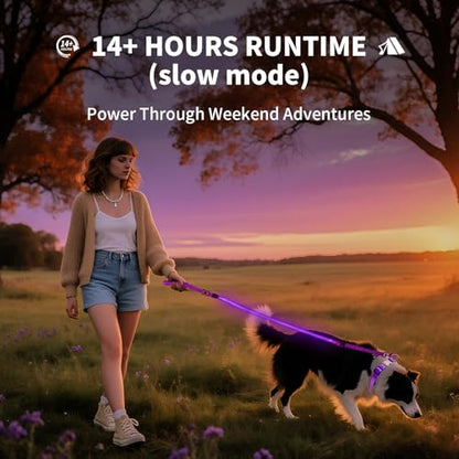 Night Walking LED Dog Leash - 6FT Reflective & Waterproof Light Up Safety Leashes for Dogs - USB Rechargeable, Purple - color: Purple(Fiber optic version)