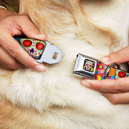Dog Collar Seatbelt Buckle Sugar Skull Starburst White Multi Color 9 to 15 Inches 1.0 Inch Wide - size: 1" Wide - Fits 9.5-13" Neck - Small