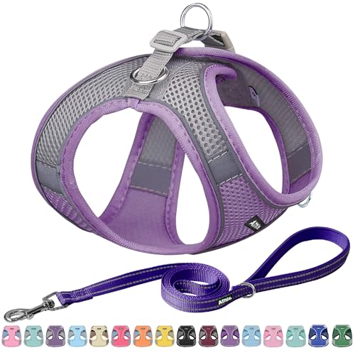AIITLE Dog Harness, No-Pull Cat Harness with a Leash, Adjustable Reflective Dog Vest, Cat Harness Escape Proof, Outdoor Walking, Running,Training for Extra Small Dogs and House Cats Purple XXXS - color: Purple, size: XXXS(Chest: 8.5 - 10")