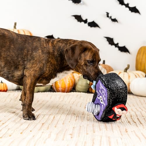 Fringe Studio Hide and Seek Burrow Plush Dog Toy, Sleep Tight, PetShop Collection (289232) - color: Sleep Tight