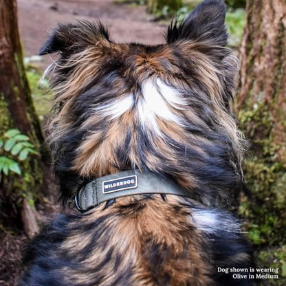 Wilderdog Waterproof Dog Collar- Repels Water & Dirt - Large 17"-24" - Olive - color: Olive, size: Large