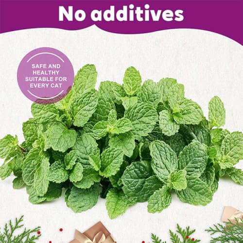 15 Pack Natural Catnip Packets for Cat Toys, Non-Woven Fabric Catnip Refills,More Potent Refill Pouches for Flapping Bird, Fish and Drinking