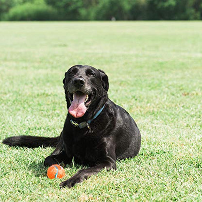 Chuckit! Dog Tennis Ball Dog Toy, Large (3 Inch Diameter) for dogs 60-100lbs, Pack of 1 - size: Large - Pack of 1