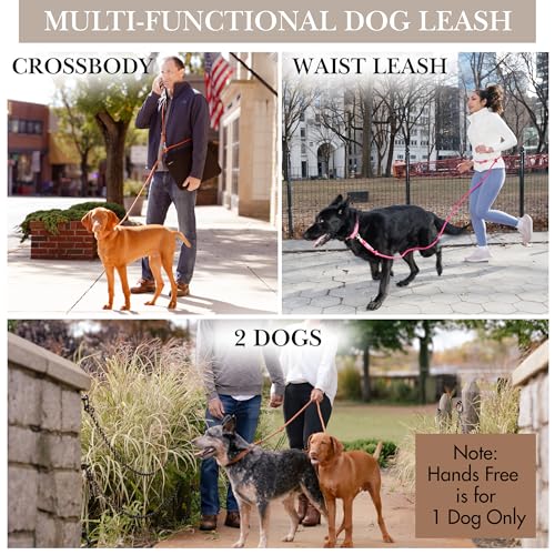 Hands Free Dog Leash, Waist Leash for Dog Walking, Running, Crossbody, Multifunctional, 2 Dogs, Dual Handle, Traditional Lead, Adjustable Lead 4.3ft - 7.5ft, 3/8" (10mm) Diameter. - color: Hunter Green