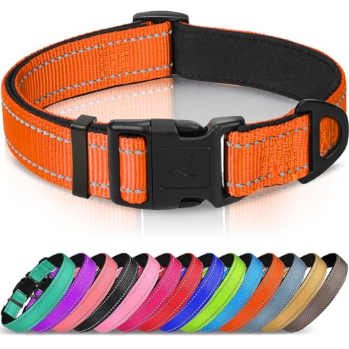 Joytale Dog Collar,Soft Neoprene Padded Breathable Nylon Pet Collar Adjustable for Puppy and Small Dogs,Orange,XS - color: Orange, size: X-Small (Pack of 1)