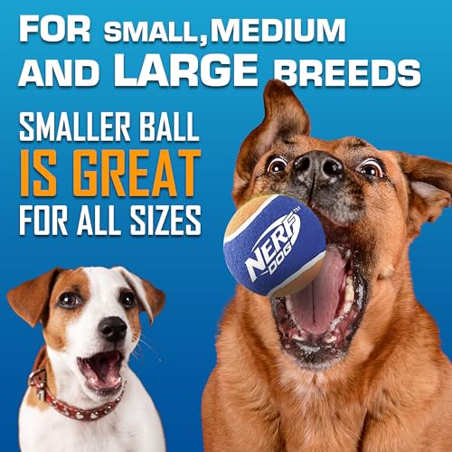 Nerf Dog Tennis Ball Blaster Dog Toy Gift Set, Tennis Ball Dog Fetch Toy Launches up to 50 ft, Dog Ball Thrower for All Breeds Includes Green Tennis Ball Launcher and 3 Dog Tennis Balls - size: 16 in Compact Blaster with 3 Balls