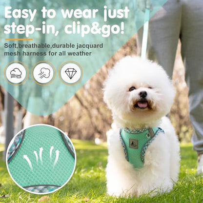 Dog Harness & Leash Set - No Pull Soft Breathable Small Dog Harness, Adjustable Reflective Step-in Vest for Puppy, Kitten, Cats - color: blue-green, size: xxs