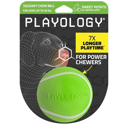 Playology Dog Toys | Squeaky Chew Ball - Bouncy Durable Floating Fetch Ball for Dogs | Medium Sweet Potato Scented Toy - Easy to Clean and Made from Non Toxic Materials - size: Medium, style: Sweet Potato