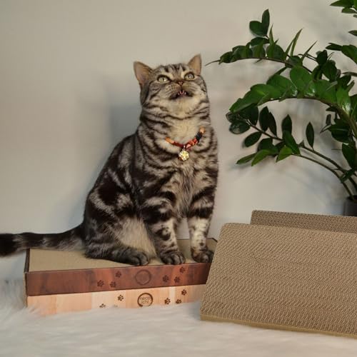 Necoichi Cardboard Cat Scratcher Bed for Indoor Cats - Cat Scratching Board (16" Regular, c. Replacement 2 Pads) - size: 16" Regular