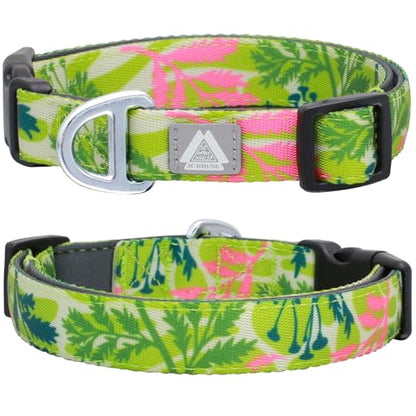 Small Dog Collar with Reflective Logo and Soft Padded Neoprene,Summer Tropical Leaf Design, Adjustable,Lightweight & Durable, Neck Size 9’’-14’’ (Leaf, S) - color: Tropical Leaf, size: S (Neck 9''– 14'')