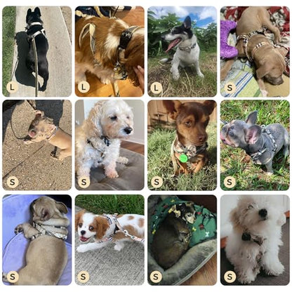 BINGPET Dog Harness Collar Leash Set,Adjustable No Pull Escape Proof Small Dog Harness,Classic Plaid Puppy Harness and Leash Set for Small Medium Large Dogs Training Easy Walk Running(Beige,S) - color: Beige Plaid, size: S(Chest Girth:14.9''-20.9'')