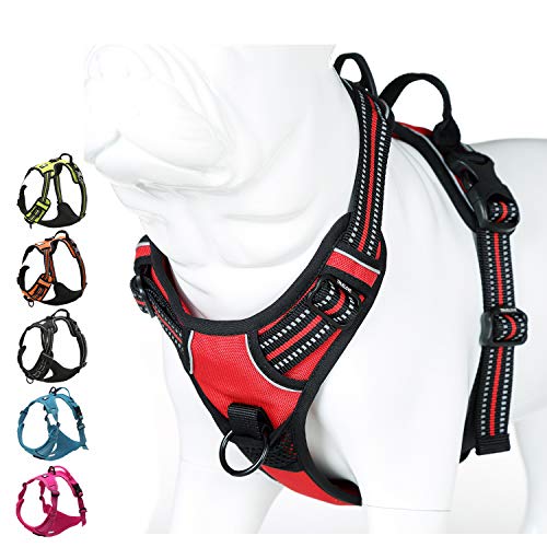 JUXZH Truelove No Pull Dog Harness with Easy Control Handle and 2 Leash Attachments,Reflective Adjustable Pet Vest - color: Red, size: Small (Pack of 1)