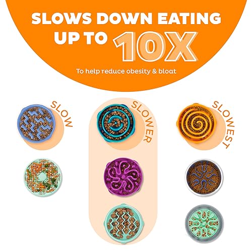 Outward Hound Fun Feeder Dog Bowls, Slow Feeders for Dogs, Medium/Mini, Turquoise and Orange