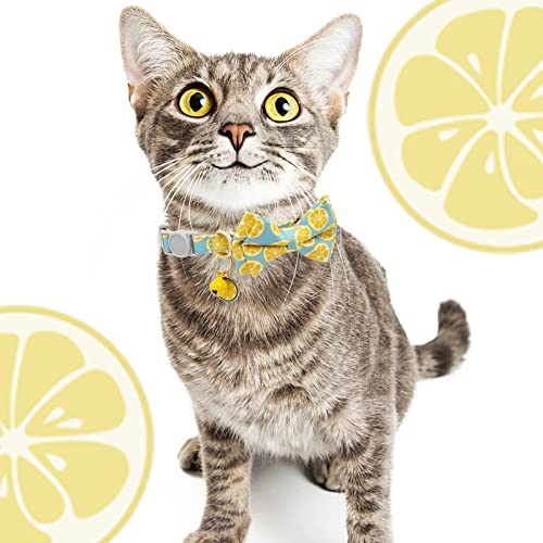 Faygarsle 2 Pack Cute Cat Collar with Bell Breakaway Bowtie for Male Female Cats Soft Fancy Pink Yellow Watermelon Lemon Pattern Spring Summer Cat Collar for Boy Girl Cats - color: Watermelon&Lemon