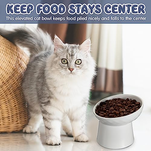 Tanlade 4 Pcs Ceramic Raised Cat Bowls, Elevated Tilted Cat Bowl for Food Water, Stress Free, Backflow Prevention, Dishwasher Microwave Safe, Feeder Dish for Indoor Kitten, Small Dogs(White) - color: White