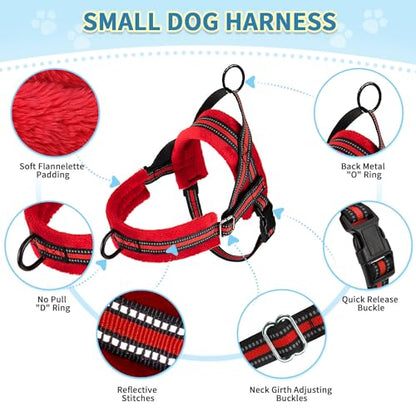 SlowTon No Pull Small Dog Harness and Leash Set, Puppy Soft Vest Harness Neck & Chest Adjustable, Reflective Lightweight Harness & Anti-Twist Pet Lead Combo for Small Medium Dogs (R-Front Clip,XXS) - color: B-Red - With Front Clip, size: XX-Small