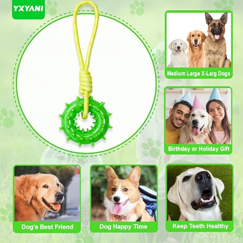 Durable Dog Chew Toy – Tough Rubber and Rope Tug Toy with Squeaker, Interactive Training and Fetch Toy for Aggressive Chewers, Medium and Large Dogs, Heavy Duty Tug-of-War (Round Ball)
