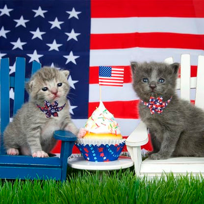 ADOGGYGO American Flag Cat Collars with Removable Flower Bell, Adjustable Red Blue 4th of July Flag Pattern Floral Collars for Cats Kittens - color: 4th of July