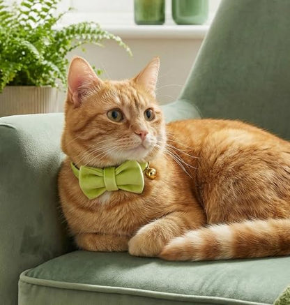 Personalized Velvet Cat Collar with Bell, Custom Engraved Name and Phone Number, Adjustable Luxury Kitten Collar, Non-Breakaway Secure ID Collar for Cats and Kittens - color: Green, size: S