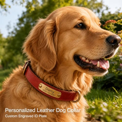 Leather Dog Collar Personalised and Leash Set, Personalized with Soft Padded Design Heavy Duty Featuring Custom Engraved Name Plate for Small Medium and Large Dogs - color: Black collar without leash, size: M:（neck 28-37cm,width 2cm）