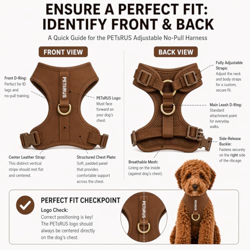 Premium No-Pull Dog Harness Soft Neoprene & Breathable Mesh Vest with Front & Back Clip D-Rings Adjustable Lightweight Walking Harness for Puppies, Small & Medium Dogs (Bronze Brown Gold, L) - color: Bronze Brown Gold, size: L: Neck=16.5-22''/Chest=22.4-3