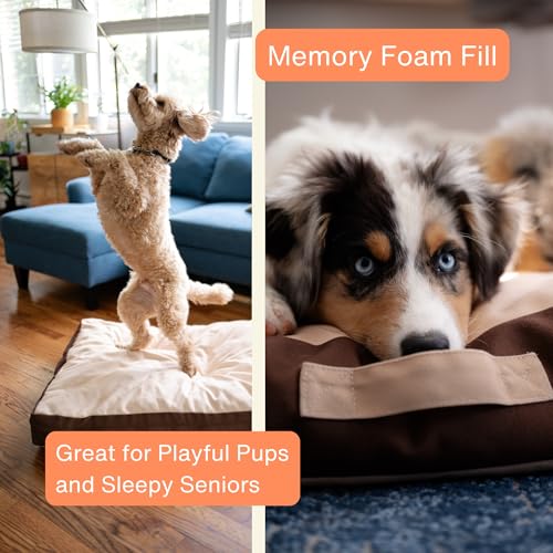 Rawry Orthopedic Dog Bed | Memory Foam Dog Bed with Handle | Water-Resistant, Machine Washable Cover | Floor Cushion for Cats, Dogs & People - Tan/Brown (Medium - 30" x 24") - size: Medium