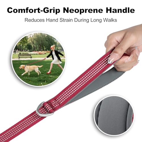 Plutus Pet Heavy Duty Dog Leash with Lockable Aluminum Carabiner, 4/6 Feet Long, Double-Sided Reflective Nylon, Padded Handle, for Puppy, Small, Medium and Large Dogs (Burgundy Red, 1" x 6') - color: Burgundy Red, size: 1" x 6'